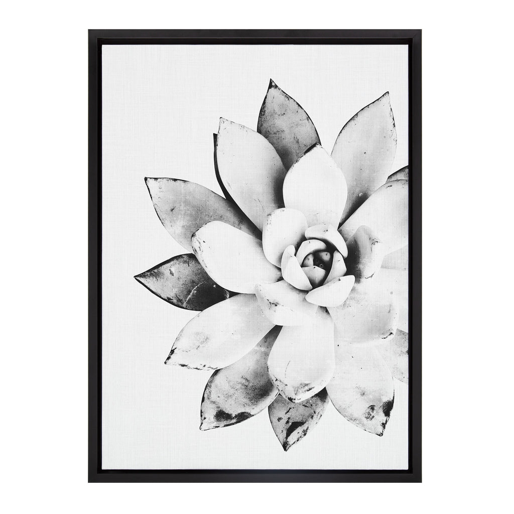 Sylvie Succulent Framed Canvas by Simon Te of Tai Prints