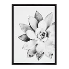 Sylvie Succulent Framed Canvas by Simon Te of Tai Prints