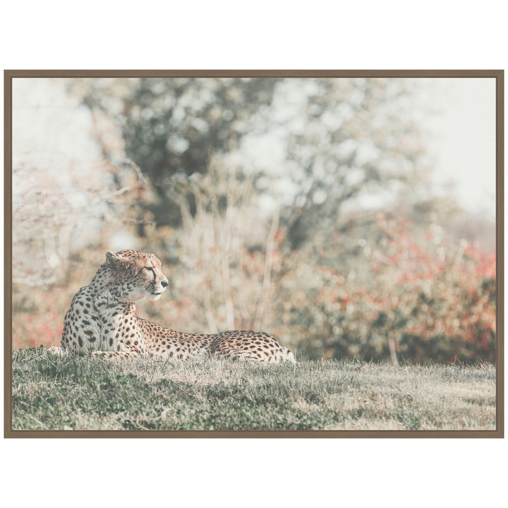 Sylvie Cheetah Glance Framed Canvas by Alicia Abla