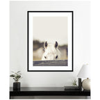 Equine Crop by Robert Cadloff Framed Wall Art Print