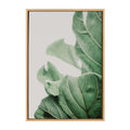 Sylvie Plant Study 7 Framed Canvas by Alicia Abla