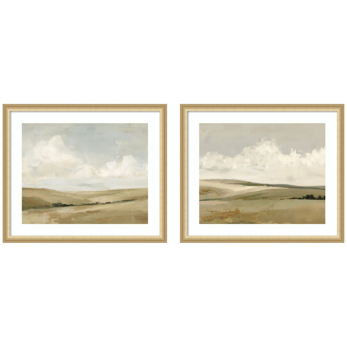 Whispering Meadows 2 Piece Framed Wall Art Print Set by Amy Lighthall