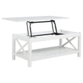 Skyview 44inch Rectangular Lift Top Coffee Table White