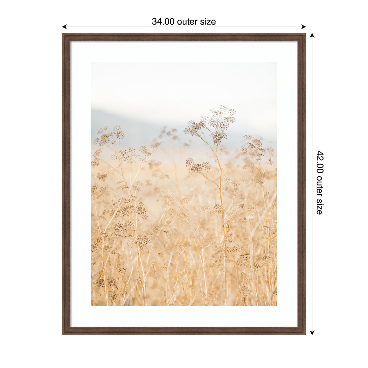 Framed Art Wild Fennel by Crystal Lynn Collins