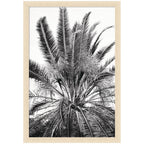No 15 by Alicia Bock Framed Wall Art Print