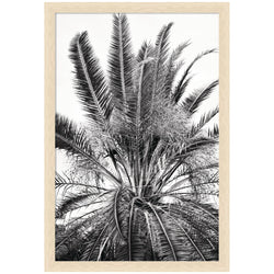 No 15 by Alicia Bock Framed Wall Art Print