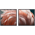 Flamingo 2 Piece Framed Canvas Wall Art Set by Alicia Bock