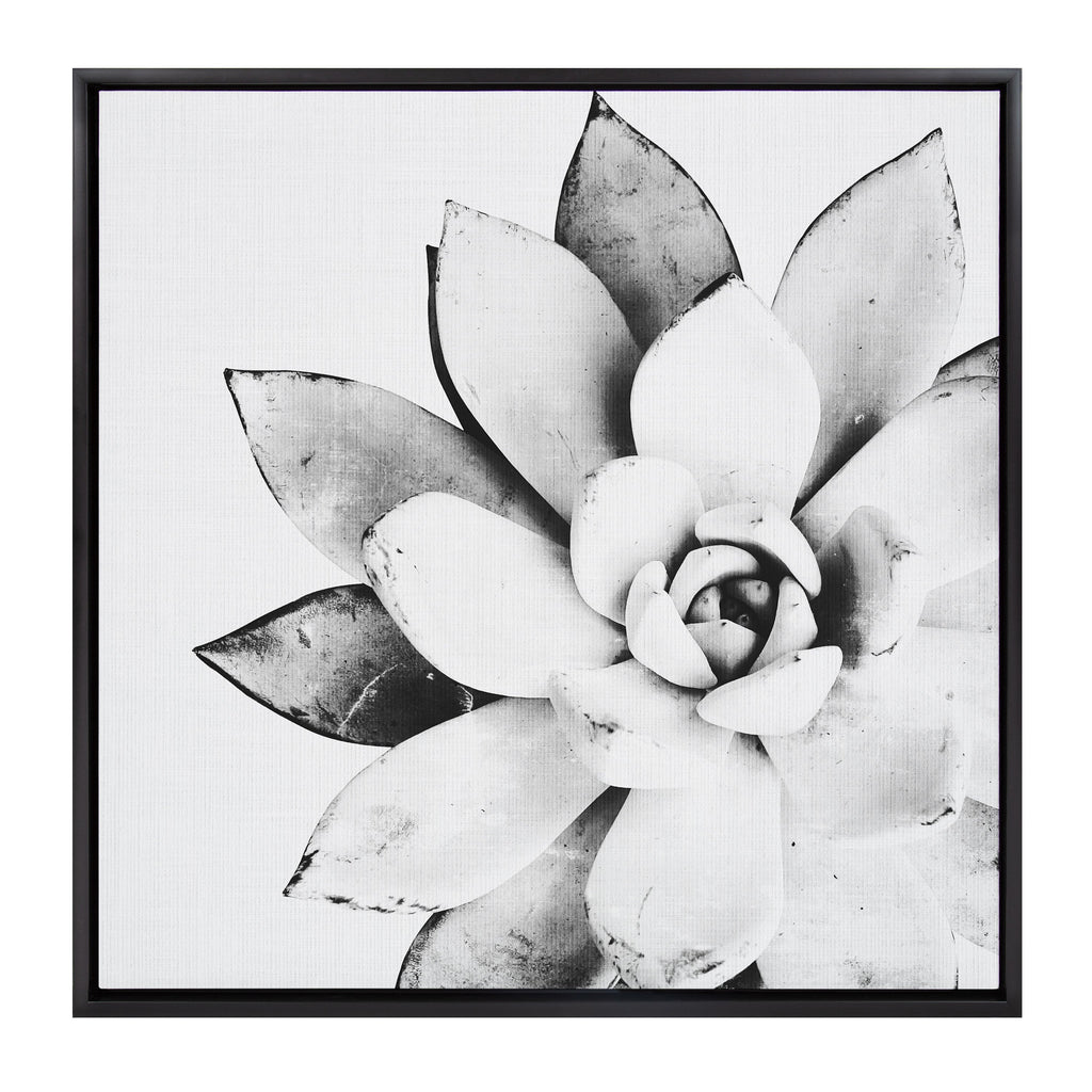 Sylvie Succulent Framed Canvas by Simon Te of Tai Prints