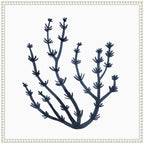 Sylvie Coastal Coral Seaweed Botanical 6 Framed Canvas by The Creative Bunch Studio