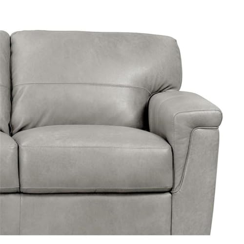 Acme Cornelia Upholstery Sofa with Tapered Legs in Pearl Gray Leather