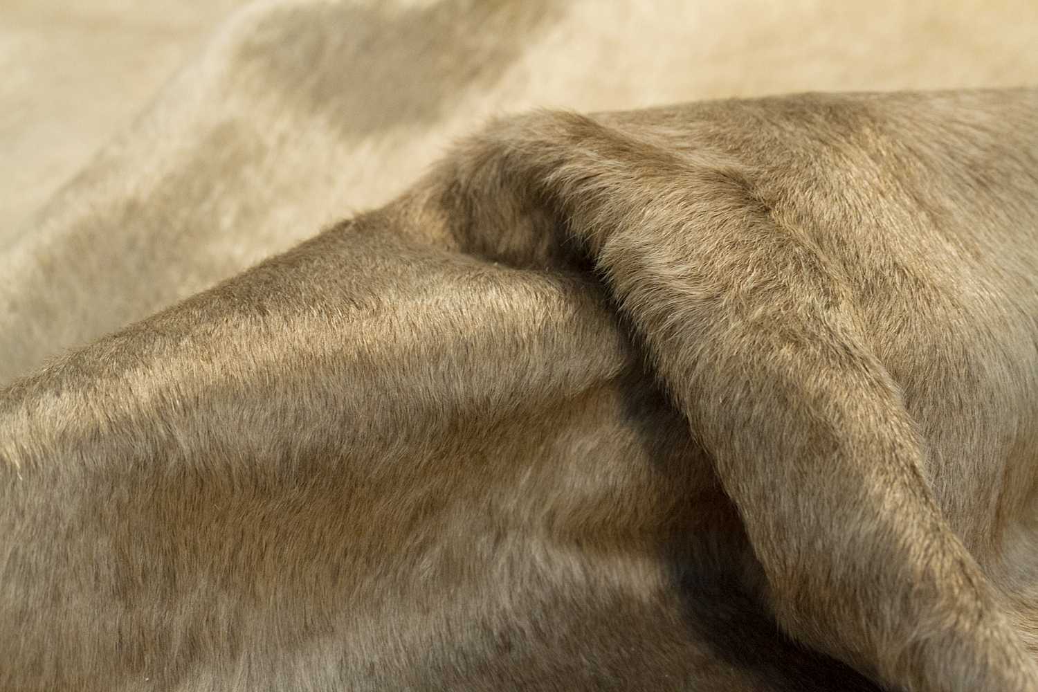 HomeRoots 60' X 84' Taupe Cowhide - Area Rug