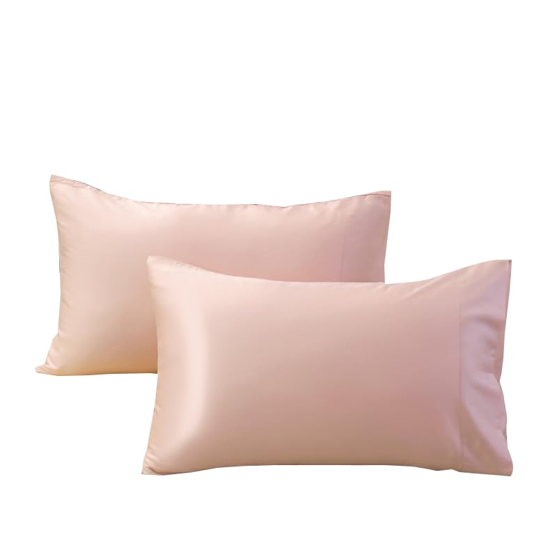 Evolive 100% Bamboo Rayon Material Cooling Breathable Standard/Queen Pillowcases Pillow Cover 20X30Inches Set Of 2 With Envelope