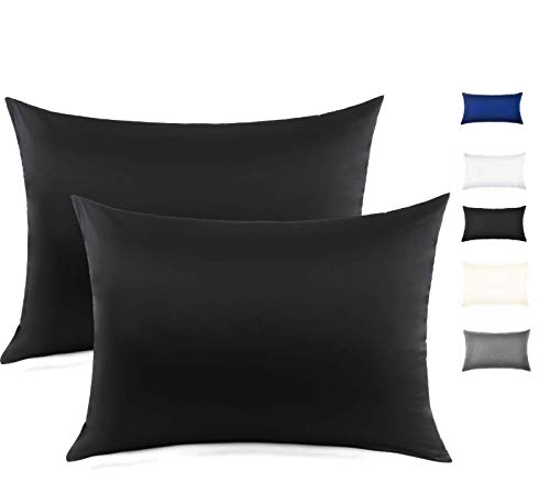 100% Mulberry Silk Pillowcase For Hair And Skin, Both Side 19 Momme Silk With Hidden Zipper,2 Pack (Black, Queen)