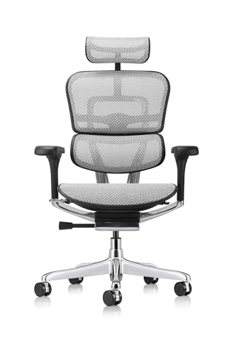 Ergohuman Eurotech Gen2 High Back, Mesh Executive Office Chair With Adjustable Lumbar Support – Ergonomic Tilt Control, Seat Slider, Armrests And Headrest Adjustment, Grey