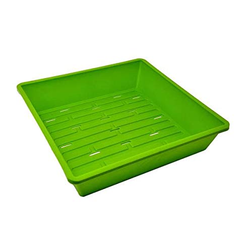 1010 Microgreen Tray, Green 10 Pack, With Drain Holes Extra Strength Flat, Grow Seedlings Plants Wheatgrass Hydroponic Systems S