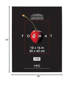 Mcs Format Frame, 12 X 16 In, Black