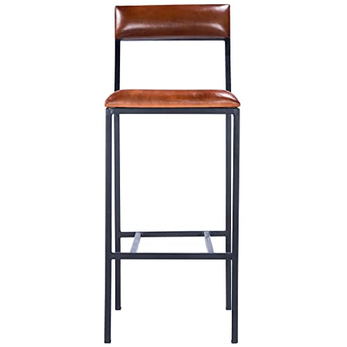 HomeRoots Medium Brown Iron; Black Metal Finish, Leather, Plywood Classic Leather and Metal Bar Stool