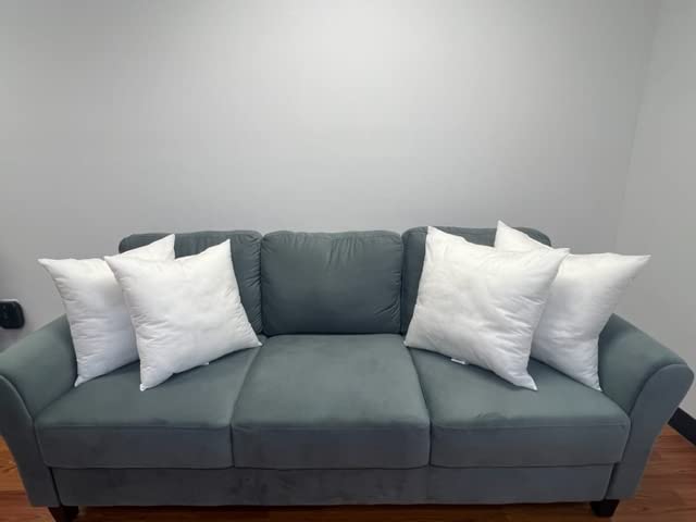 Southwest Canyon Insert Throw Pillow, 18 X 18 Inches, White 2 Count