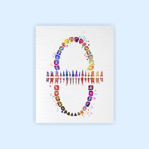 Dignovel Studios 13X19 Unframed Tooth Chart Anatomical Art Dental Clinic Dentistry Science Watercolor Art Print Poster Dn565