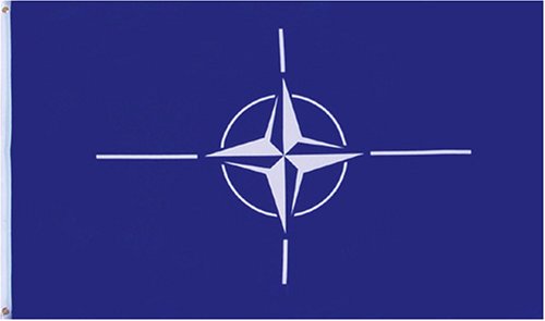 Nato (North Atlantic Treaty Org) Flag - 3 Foot By 5 Foot Polyester (New) By Fifi