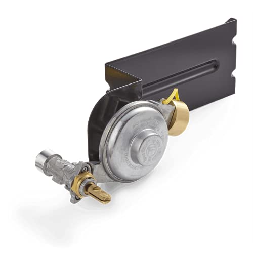 Weber 64865 Model Years 2014 And Newer Q2000/2200 Valve & Regulator