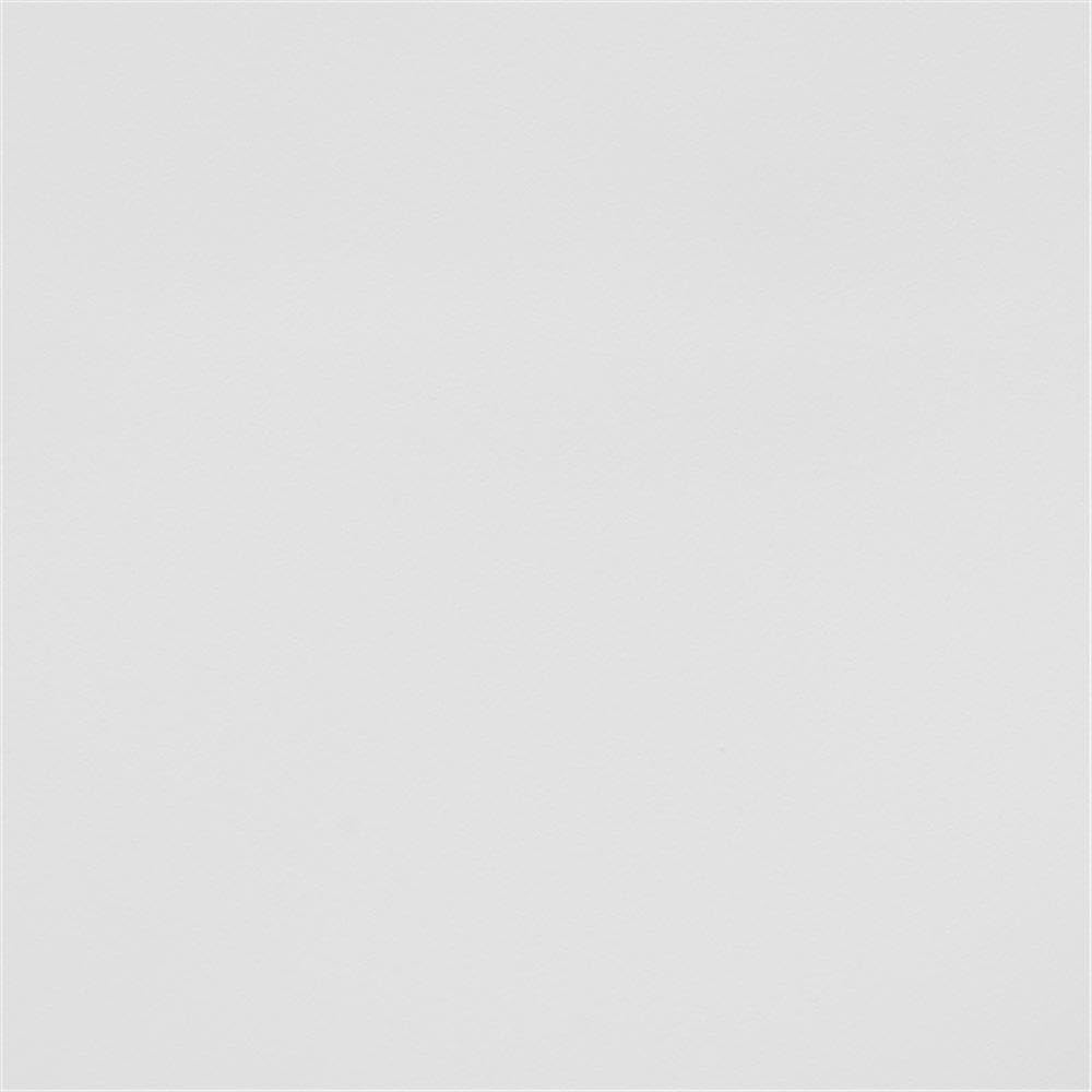 Baxton Studio Gould Modern Transtional White Plastic 4-Piece Dining Chair Set