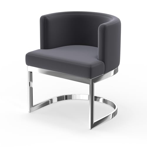 Neos Modern Furniture C1422GY-SS Chair, Gray
