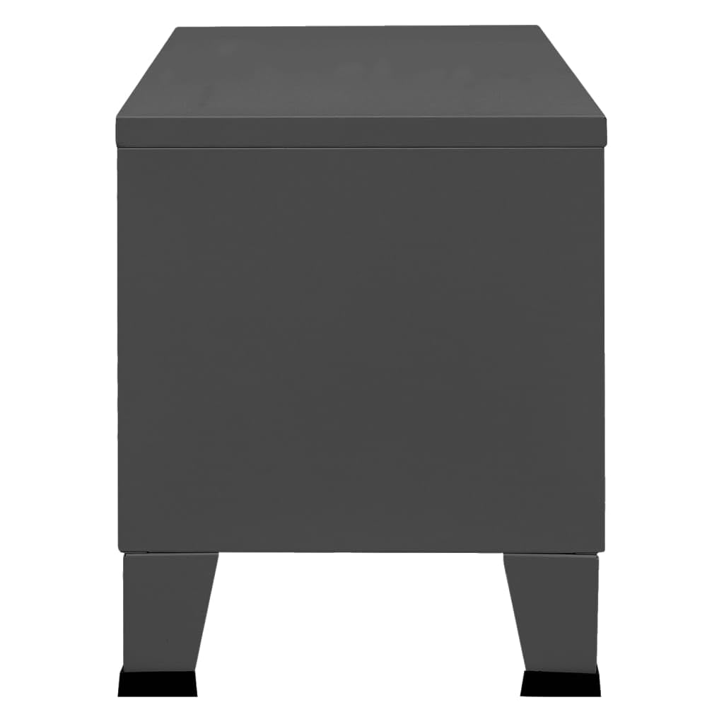 vidaXL Anthracite TV Stand - Industrial Styling, Robust Metal Construction, Ample Storage Space with Doors, Hole for Cable Management