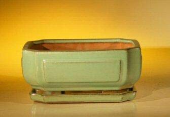 Bonsai Boy Light Green Ceramic Bonsai Pot - Rectangle Professional Series With Attached Humidity Drip tray 8 5 x 6 5 x 3 5