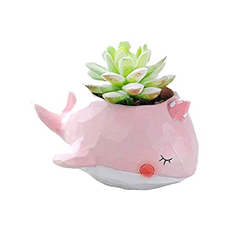 Wish Hally Wood Pink Whale Succulent Planter Pots For Office House Balcony Landscape Creative Decorative Flower Pots (Pink Whale