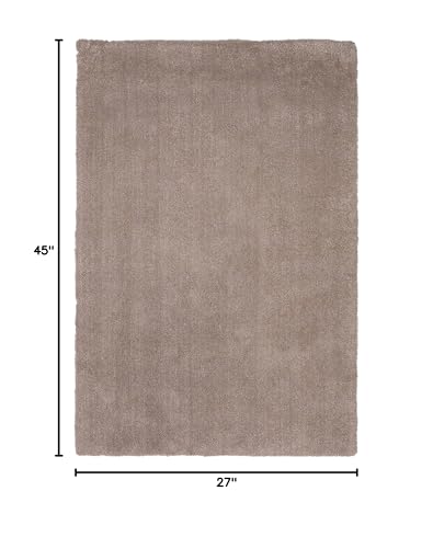 HomeRoots Decor 27-inch X 45-inch Polyester Beige Area Rug