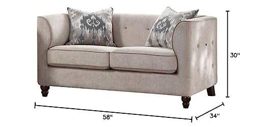 Acme Cyndi Loveseat with 2 Pillows in Tan Velvet