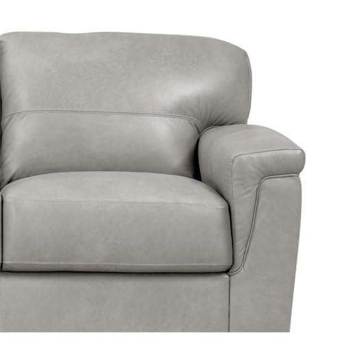 Acme Cornelia Upholstery Cushion Back Loveseat in Pearl Gray Leather