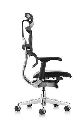 Ergohuman Eurotech Gen2 High Back, Mesh Executive Office Chair With Adjustable Lumbar Support – Ergonomic Tilt Control, Seat Slider, Armrests And Headrest Adjustment, Grey