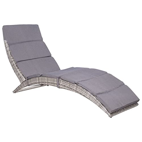 vidaXL Patio Lounge Chair, Outdoor Chaise Lounge Chair, Folding Sunlounger, Sunbed for Backyard Poolside Porch Balcony, Poly Rattan Gray