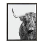Sylvie Highland Cow Framed Canvas by Amy Peterson Art Studio