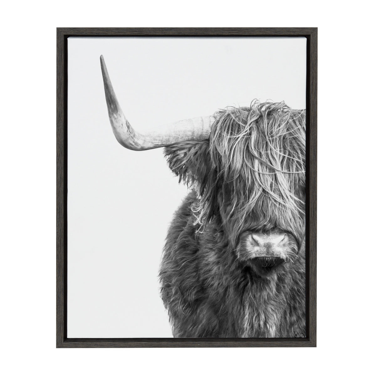 Sylvie Highland Cow Framed Canvas by Amy Peterson Art Studio
