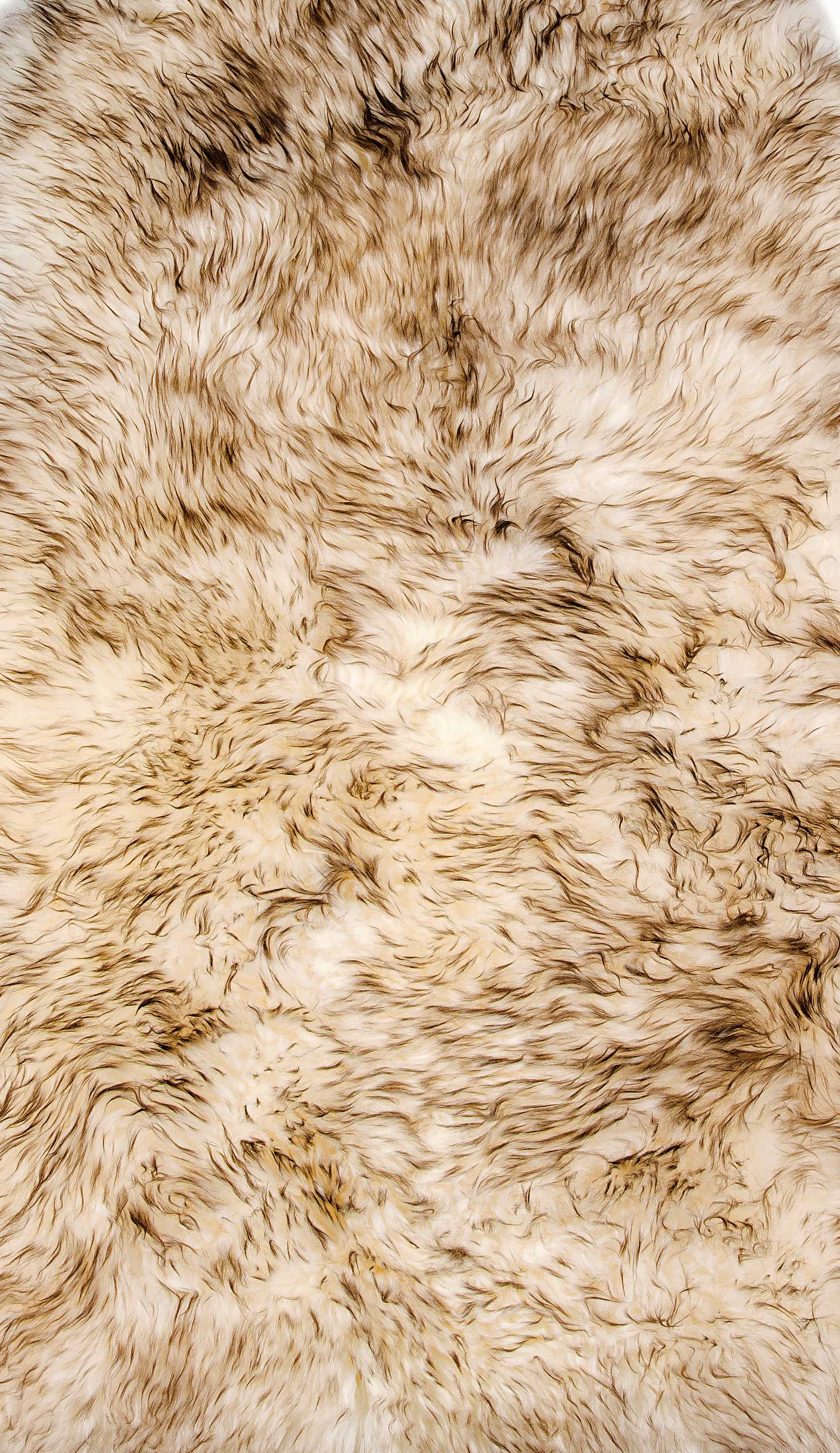 HomeRoots 2' X 3' Dark Cream New Zealand Natural Sheepskin Rug