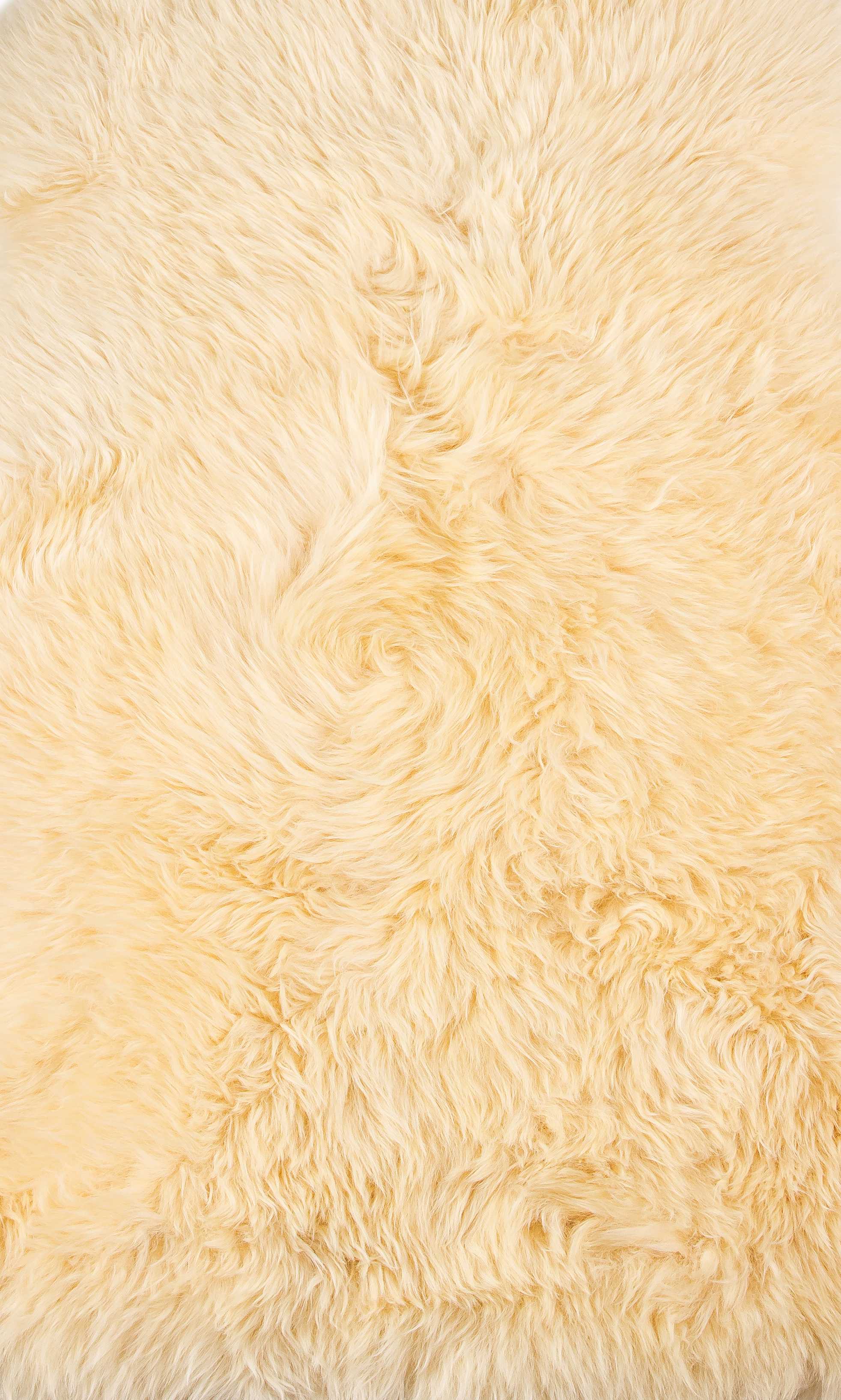 HomeRoots 2' X 3' Cream New Zealand Natural Sheepskin Rug