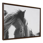 Sylvie Noble BW Framed Canvas by Alicia Abla