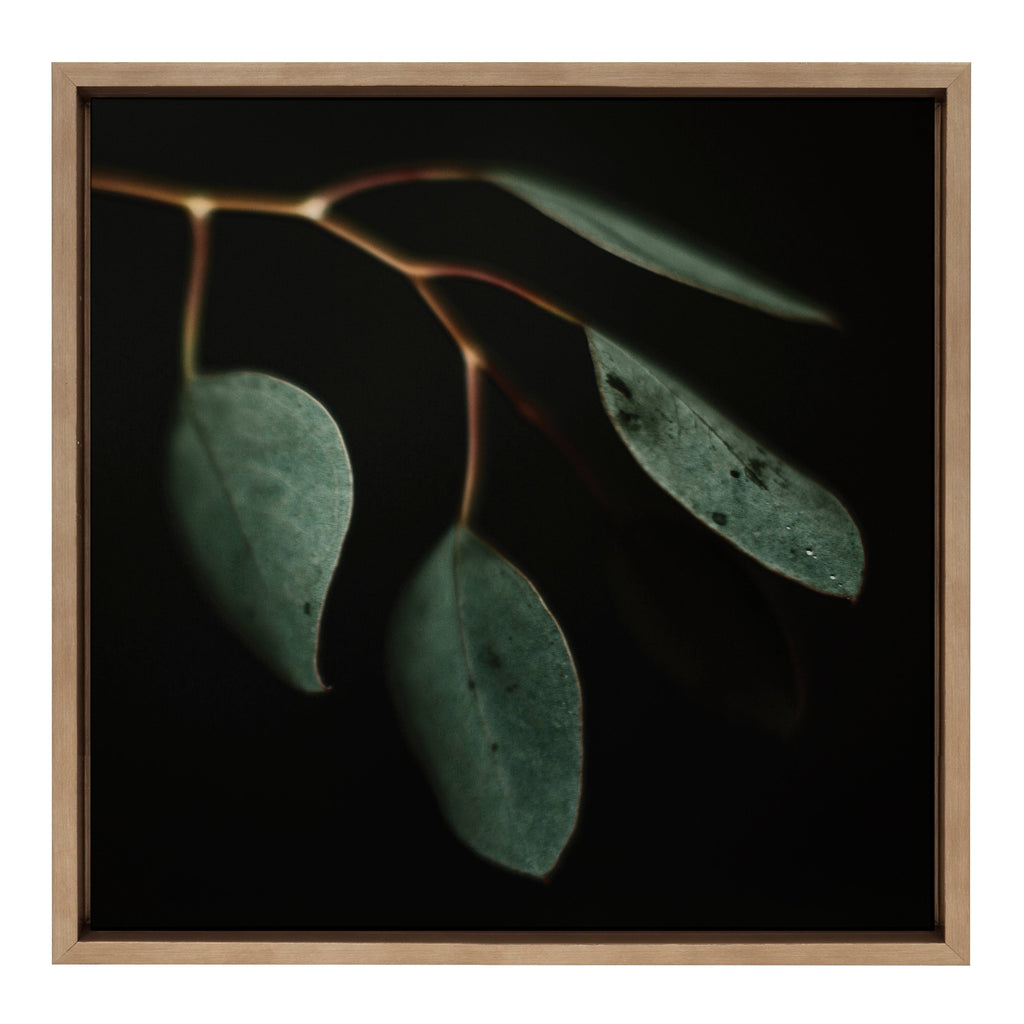 Sylvie Eucalyptus Leaves Framed Canvas by Alicia Abla