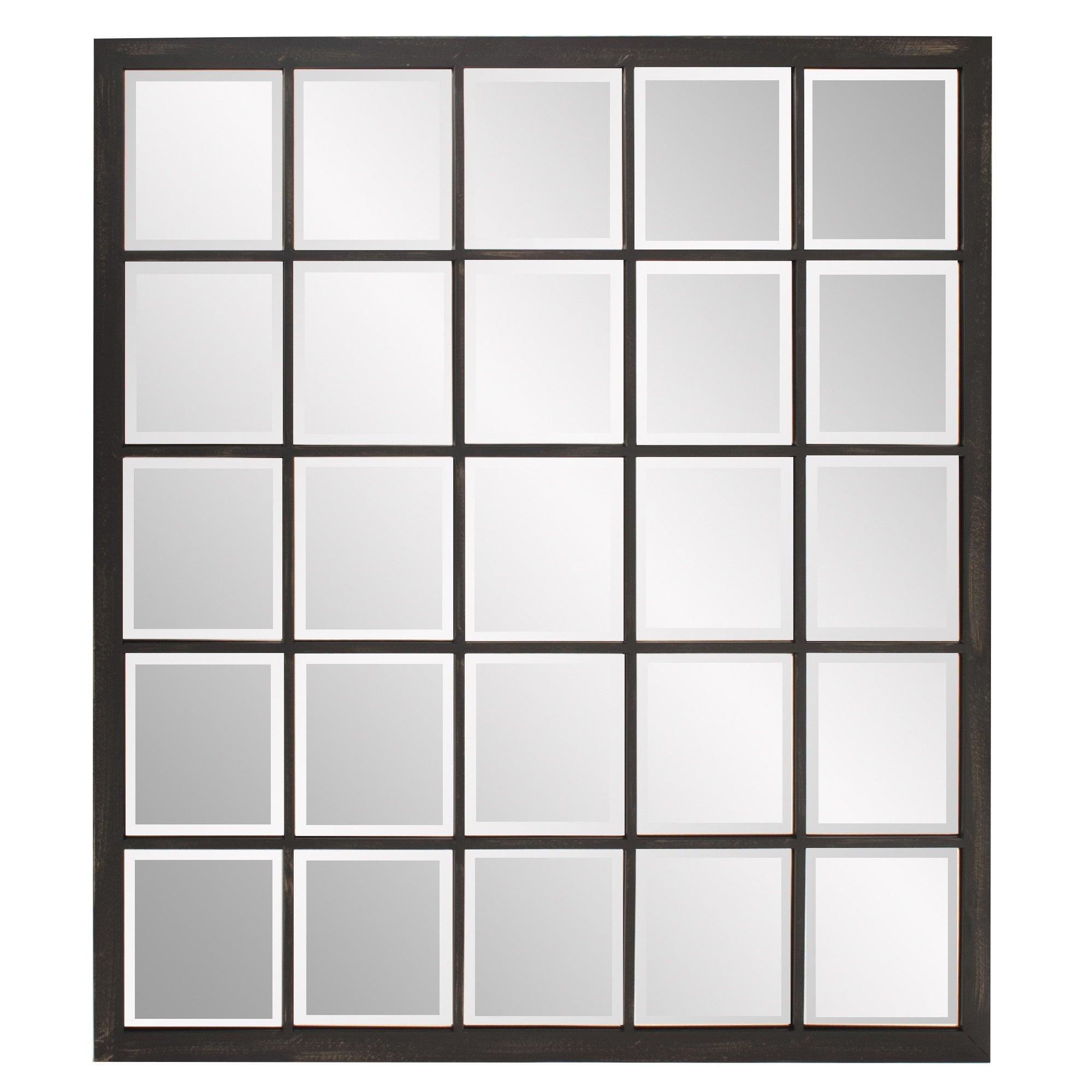 HomeRoots Rectangular Antique Black Finish Mirror with Beveled Edge