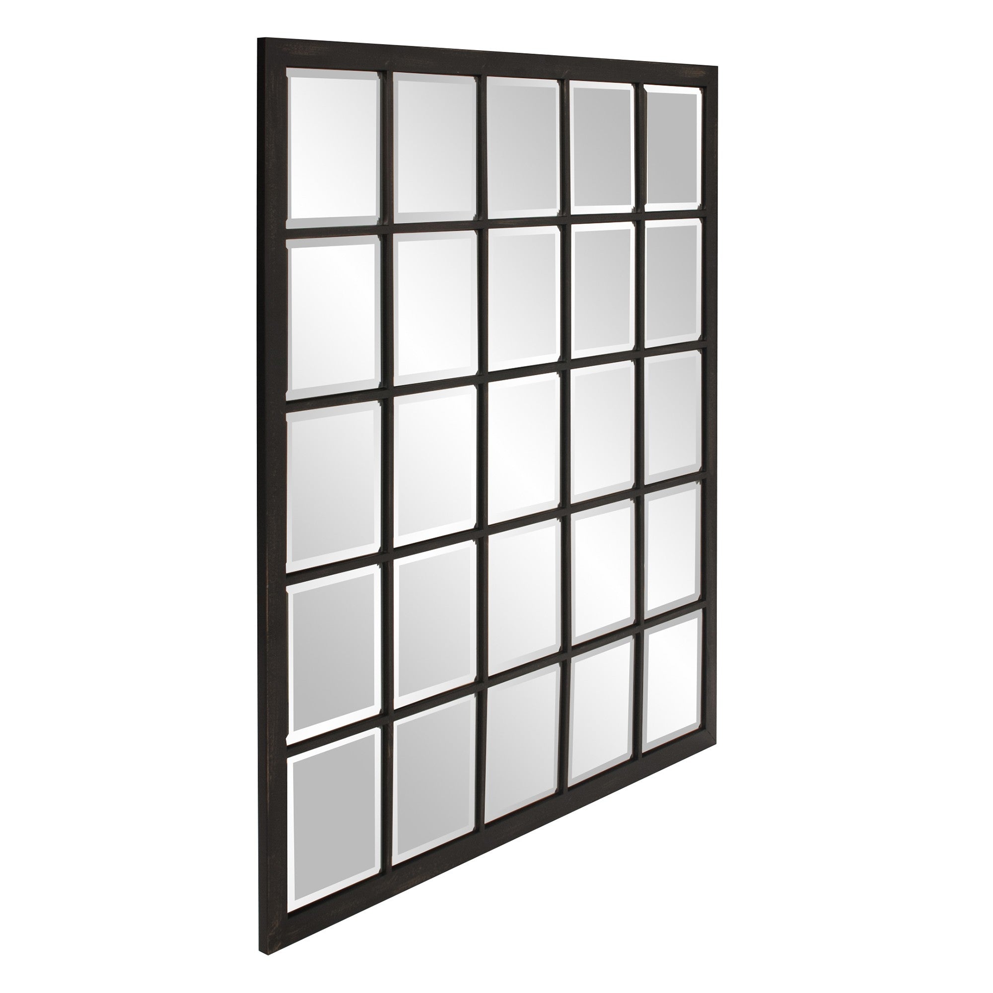 HomeRoots Rectangular Antique Black Finish Mirror with Beveled Edge
