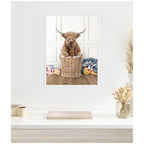 Sylvie Highland Cow Traditional Laundry Framed Canvas by Amy Peterson