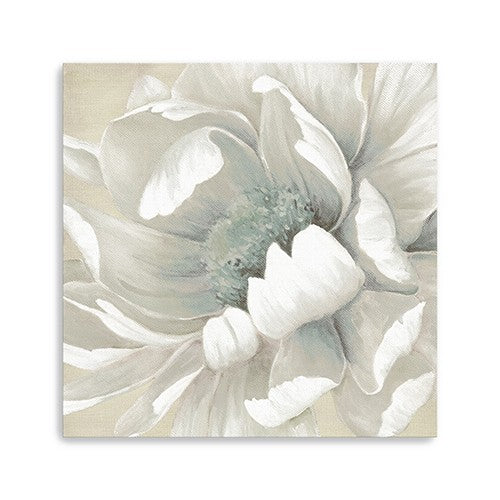 20 Soft Winter Flower in Bloom Canvas Wall Art