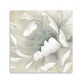 30 Soft Winter Flower in Bloom Canvas Wall Art