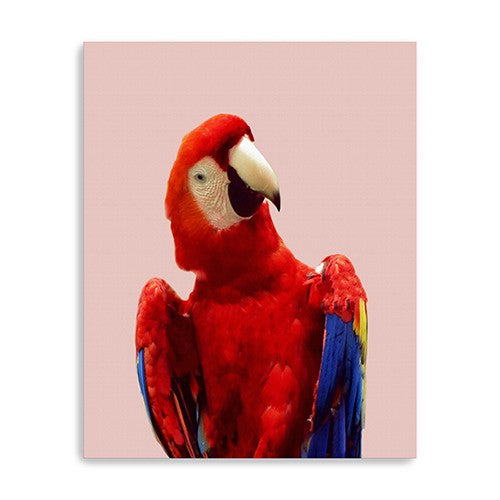 30 Vibrant and Vivid Bird Canvas Wall Art