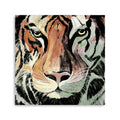 30 Staring Tiger Portrait Canvas Wall Art