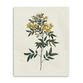 20 Singular Yellow Blossom Branch Canvas Wall Art