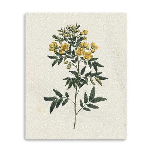 20 Singular Yellow Blossom Branch Canvas Wall Art
